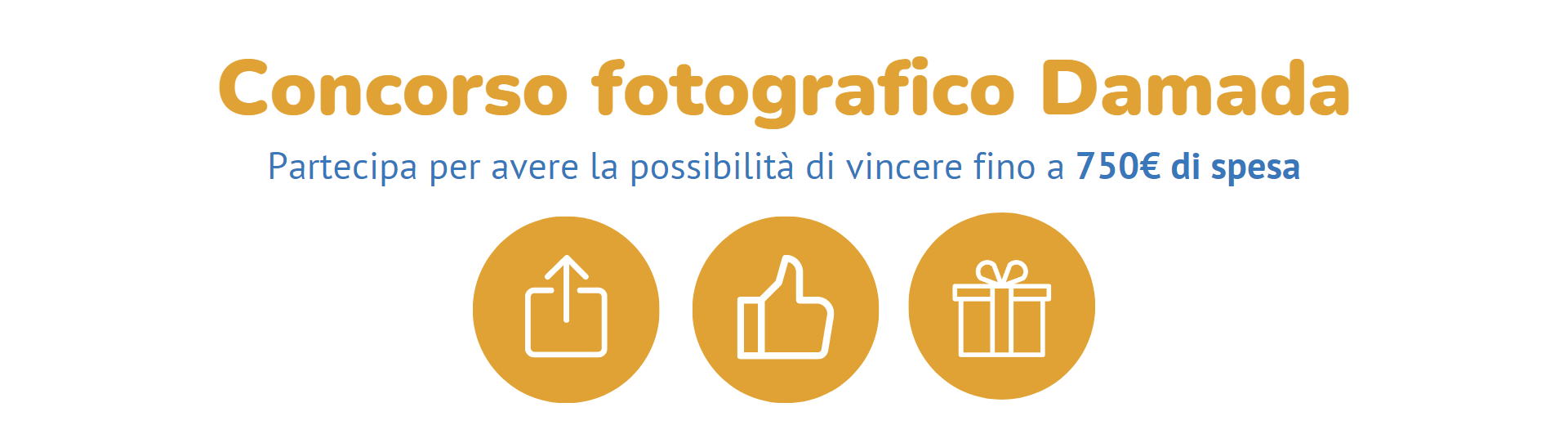Photo Contest